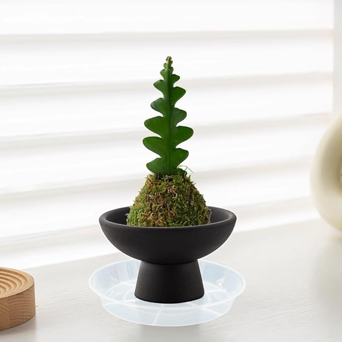 2 Pack Plant Saucer Drip Tray 13 14 inch, Large Heavy Sturdy Plastic Planter Flower Pot Saucers for Indoor Outdoor Garden, Plant Water Drip Trays for pots (14" 2Pack, Clear)