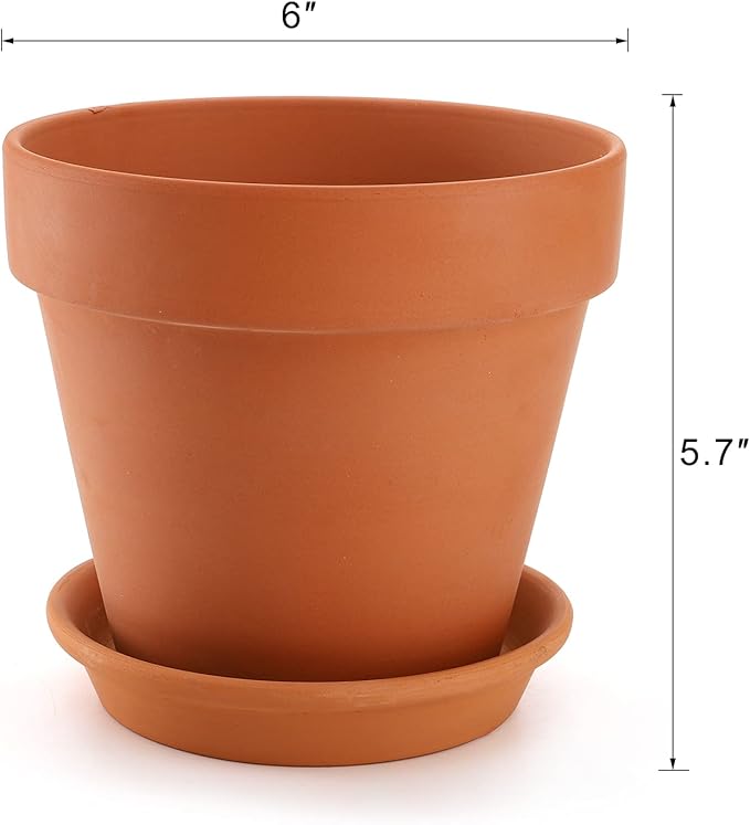 Suwimut 4 Pack Terracotta Plant Pots with Saucer, Large 6 Inch Terra Cotta Plant Pot with Drainage Hole, Clay Flower Pot with Tray for Indoor Outdoor Plant, Crafts Terra Cotta Planter