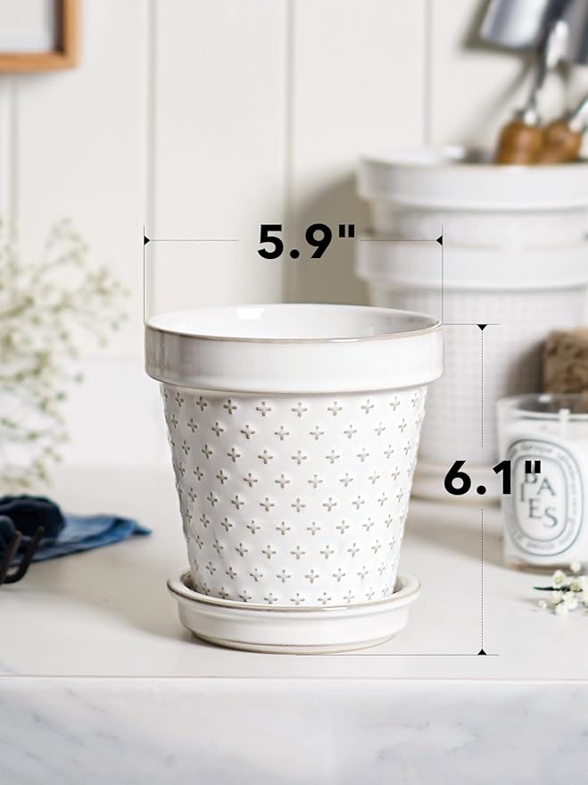 LE TAUCI Ceramic Plant Pots, Cute Succulent Pots with Saucer, 6 Inch Flower Pots with Drainage, for Plant Lover or Mothers Day,Housewarming, Decorative Lovely Planter for Cactus, Set of 4