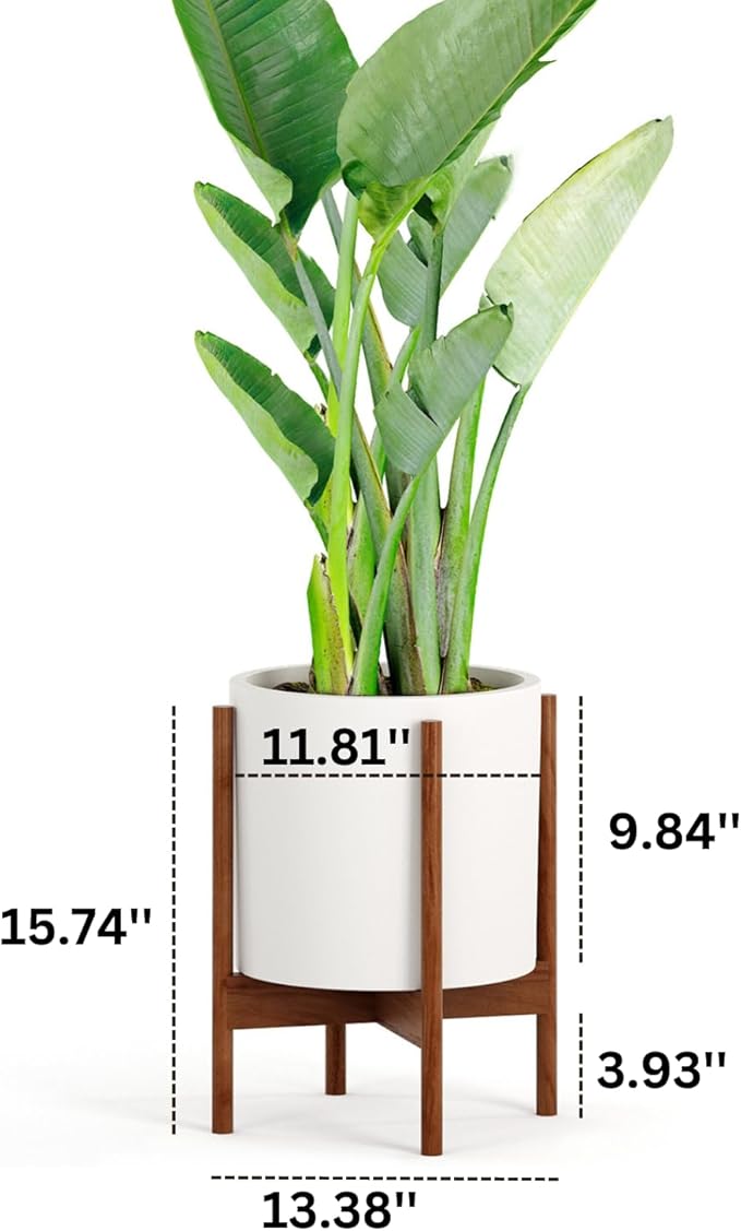 Fox & Fern Mid Century Plant Stand — 11.8 Inch Fixed Size Wooden Plant Stand for Indoor Planters; Raised Large Flower Pot Holder for Indoor Big Pots; Plug In Design; Two Height Options - Acacia