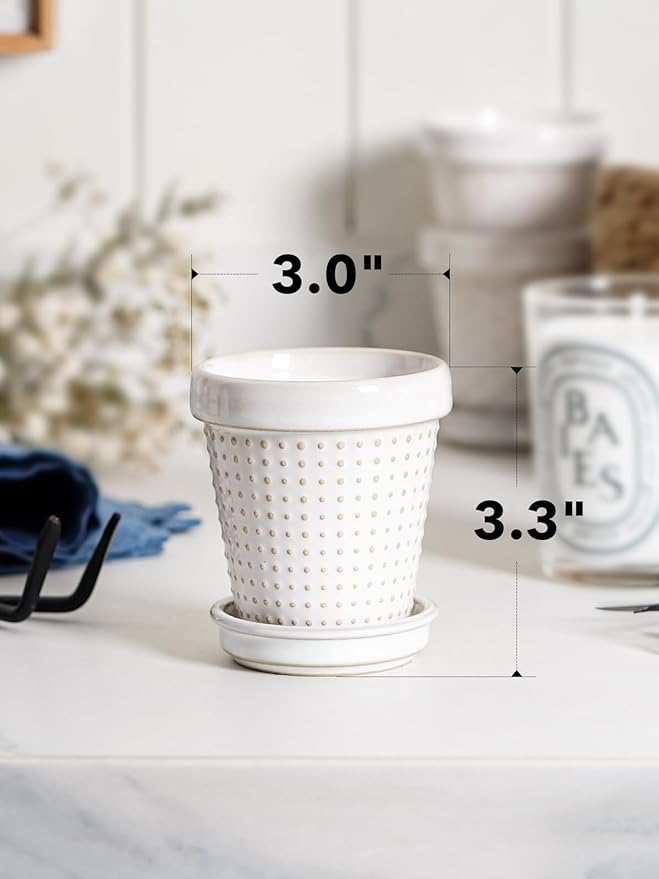 LE TAUCI Succulent Pots, Cute Indoor Plant Pot with Saucer, 3 Inch Mini Ceramic Flower Pots with Drainage, for Plant Lover or Mothers Day,Housewarming, Decorative Lovely Planter for Cactus,Set of 4