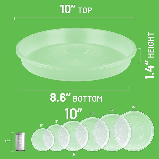 MUDEELA 6 Pack of 10 inch Plant Saucer, Durable Plastic Plant Trays for Indoors, Clear Plastic Flower Plant Pot Saucer, Made of Thicker, Stronger Plastic, with Taller Design