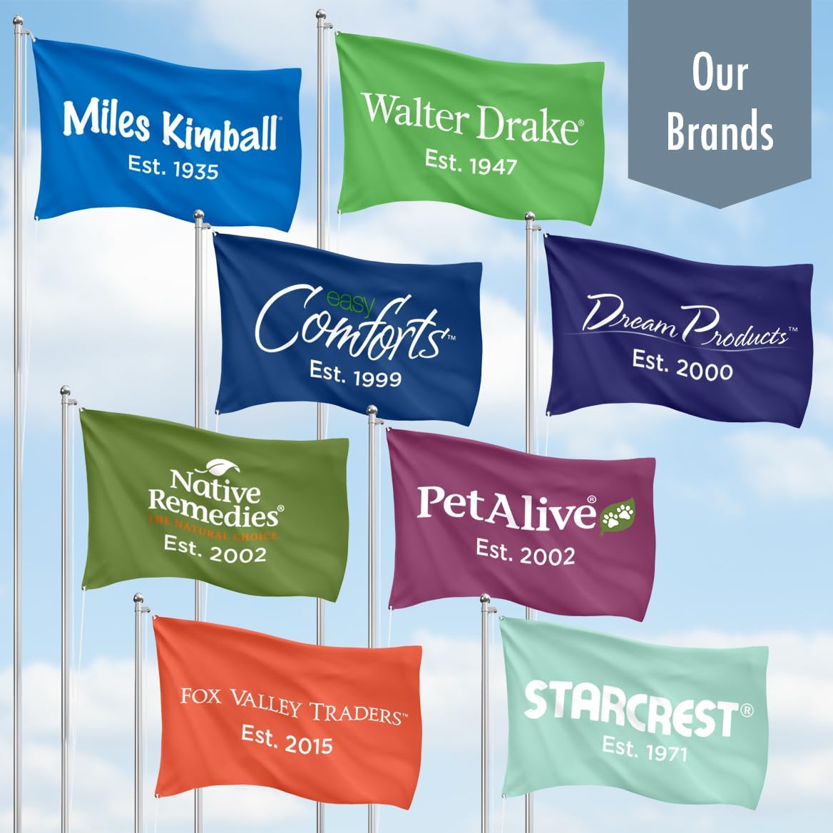 Miles Kimball Mysterious Air Fern, Set of 4 – Water & Soil Free House Plant