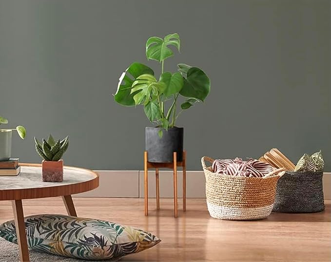 Fox & Fern Mid Century Tall Plant Stand — 10 Inch Fixed Size Raised Wooden Plant Stand for Indoor Planters; Modern Flower Pot Holder with Plug In Design; Easy to Assemble; Two Height Options - Acacia