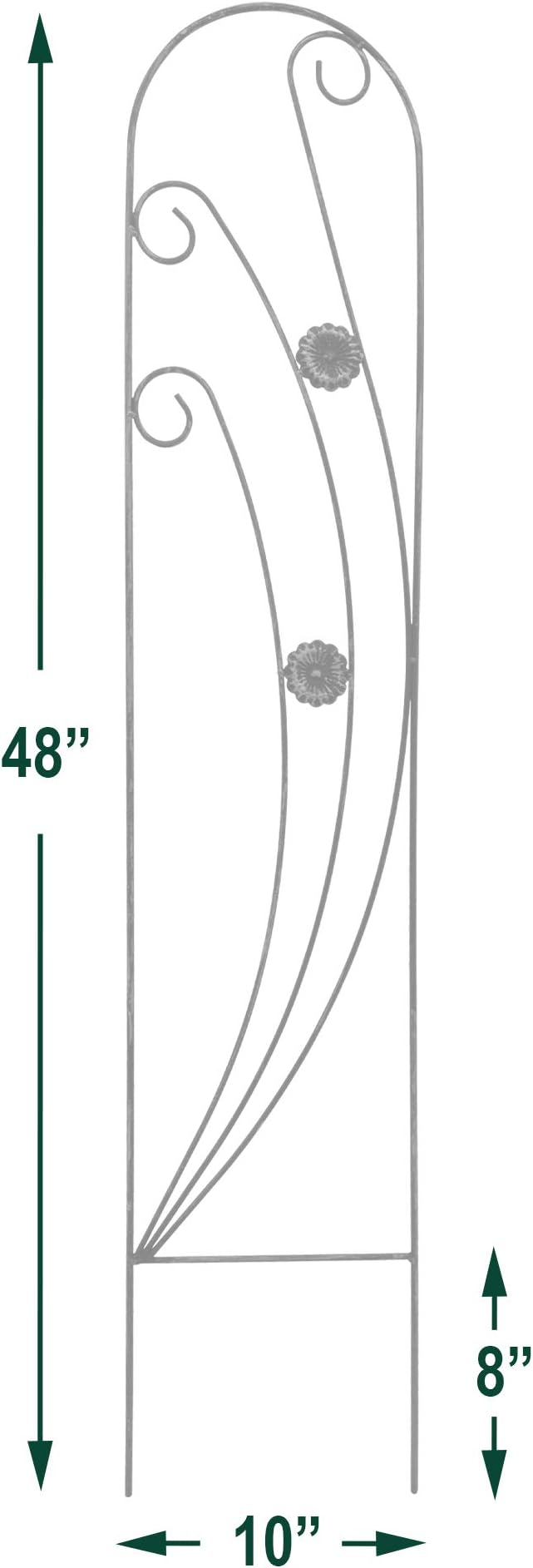 Arcadia Garden Products TR07 Phoenix Trellis Size: 4', Black