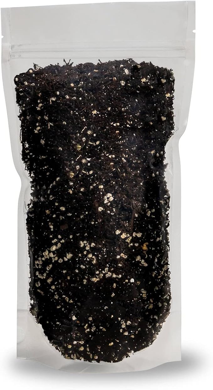 Fern + Perlite Soil Mix for Repotting and Planting Succulents and Cactuses - 3 Quart Bag