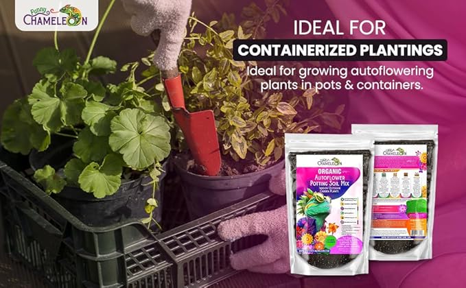 Organic Autoflower Potting Soil Mix โ Ready-to-Use Living Soil, No Fertilizers Needed โ Balanced Nutrients, Light Texture, Excellent Drainage, Boosts Germination & Root Growth (1 Quart)