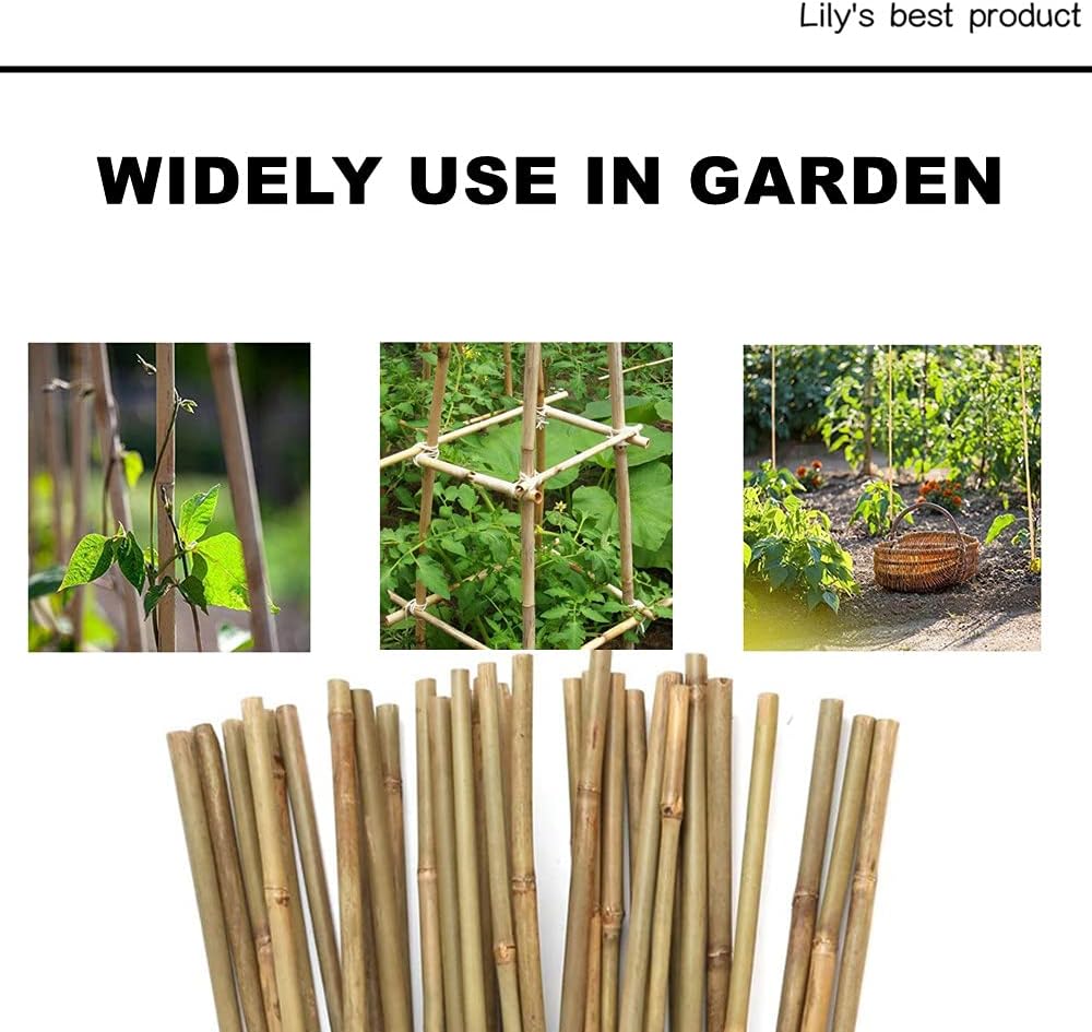 50 Pack 8ft Bamboo Plant Stakes for Wood Garden Sticks,Wooden Plant Supports,Bamboos,Bamboo Trellis,Crafts, More Size Choices 8"/12"/16"//2'/3'/4'/5'/6'/8'