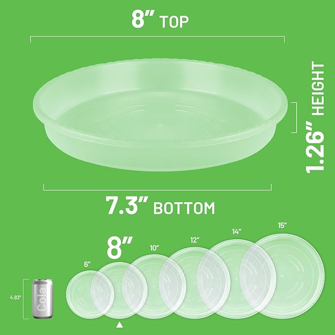 MUDEELA 6 Pack of 8 inch Plant Saucer, Durable Plastic Plant Trays for Indoors, Clear Plastic Flower Plant Pot Saucer, Made of Thicker, Stronger Plastic, with Taller Design