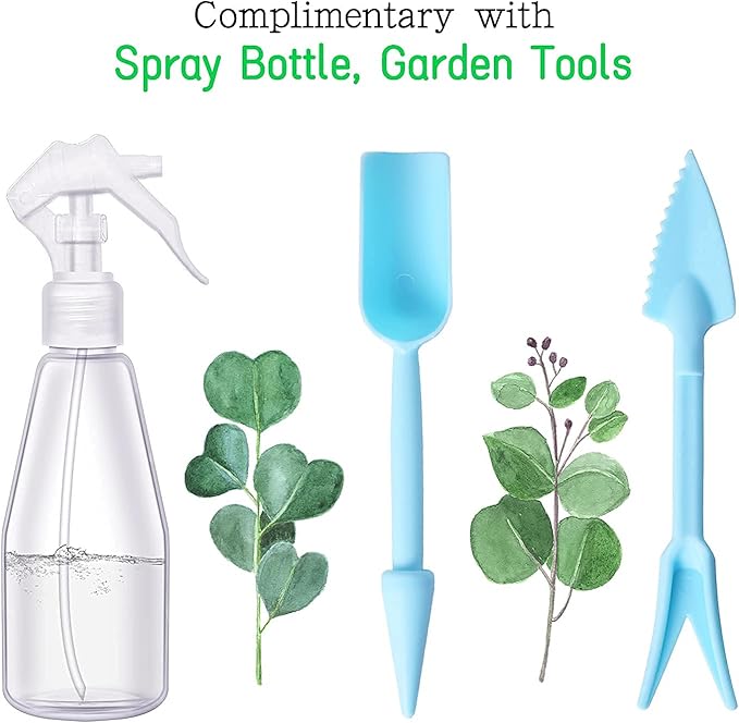 Large Glass Terrarium Handmade, Centerpiece Display Box Gift Planter Containers Indoor Terrariums House for Succulent Cacti Air Plants Miniature Fairy Garden