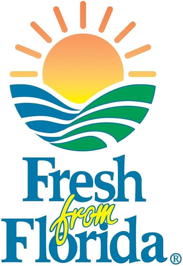 Perfect Plants Confederate Jasmine Live Plant, 3 Gallon Pot, Light Green