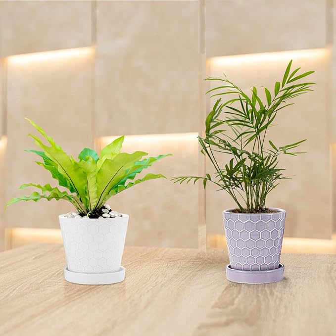 Plant Pots – 4”+5”+6” inch Ceramic Planter with Drainage Holes and Ceramic Tray - Gardening Home Desktop Office Windowsill Decoration Gift Set 3 - Plants NOT Included (White)