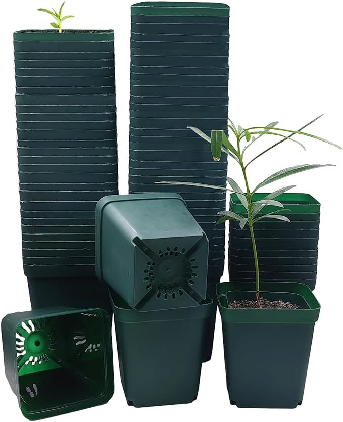 Square Nursery Seedling Pot 3.5 Inches 90 Pcs, Small Nursery Pot Plastic Thick and Sturdy Seed Start Germination Pot for Plant Propagation and Seeding(Green,3.54 Inches, 90Pcs)