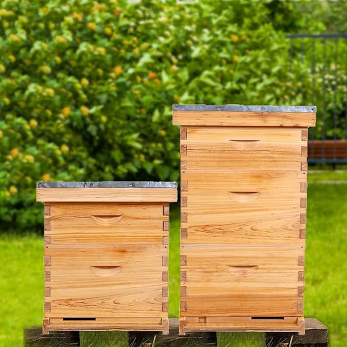 POLLIBEE 10 Frame Bee Hive,Beeswax Coated Beehive Kit for Bee Keeper,Complete Beehive Include 1 Deep Brood Bee Box and 1 Medium Bee Hive Box with Frame and Foundation
