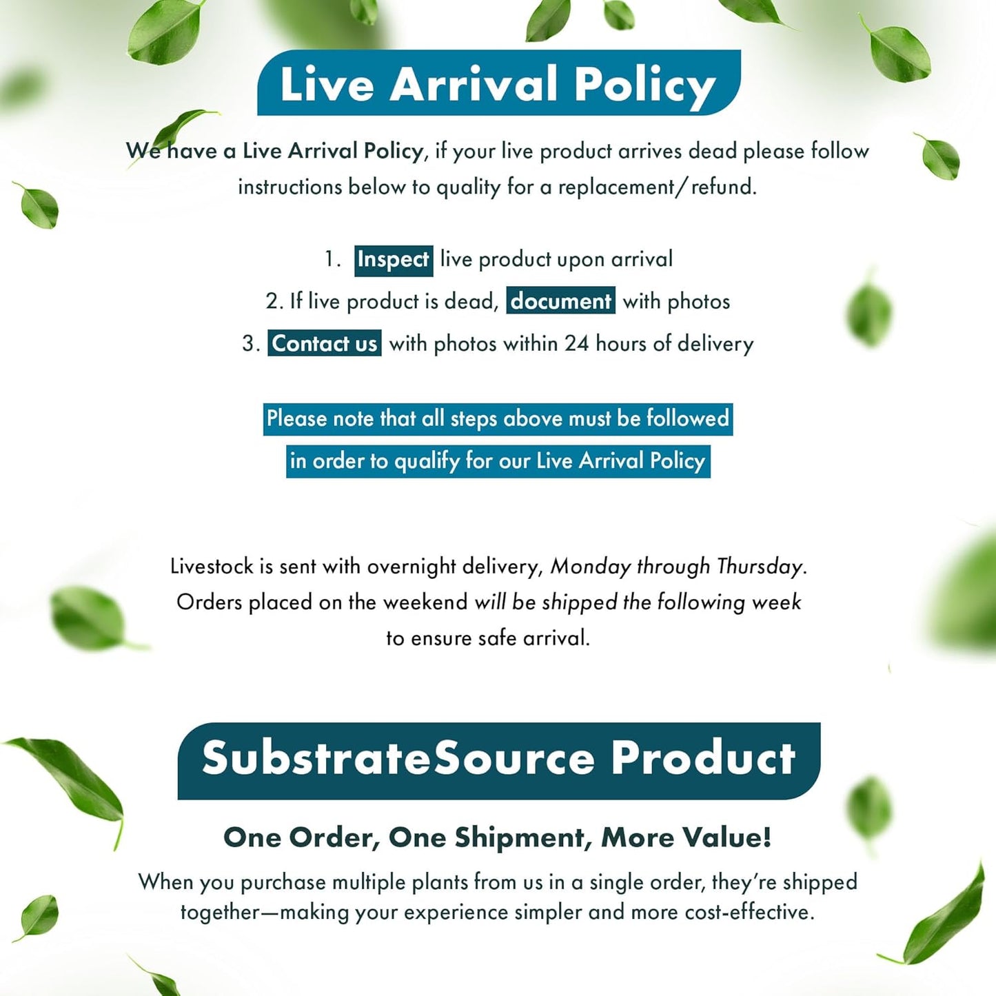 Live Plant - Tall Grass, Vallisneria Americana - Easy Care, Moderate to High Light, Bright Green Accent, Freshwater Aquatic Plant for Aquascaping - Lead Bunch