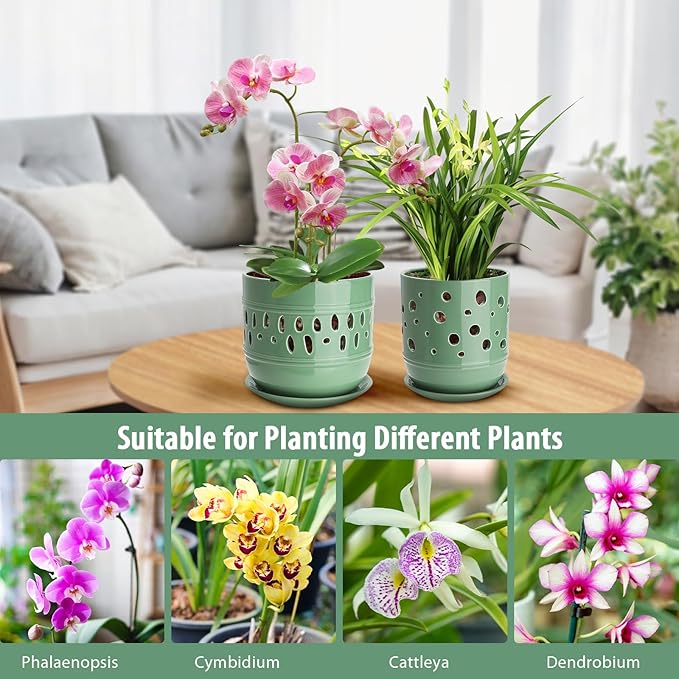 Ceramic Orchid Pot, 5+6 Inch Orchid Pots with Holes, Promoting Air Circulation and Drainage, Indoor/Outdoor Flower Pots - Pea Green