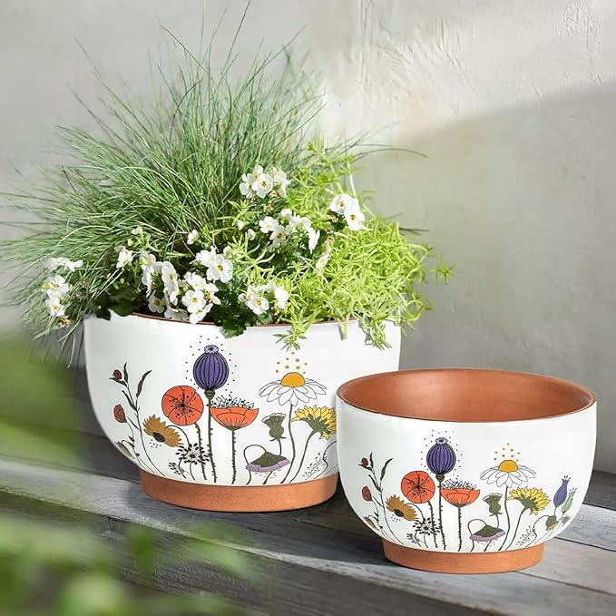 YBX 8 Inch & 6 Inch Terracotta Pots, Plant Pots Indoor, Flower Pots for Indoor Plants with Drainage, Planters with Floral Accent for Indoor Plants (French Country)