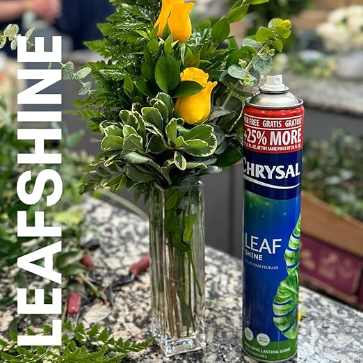 Chrysal Leafshine 25oz aerosol Bonus Size 25% More from Holland Formely Pokon/Item NO#I-86/Q-UI754383121