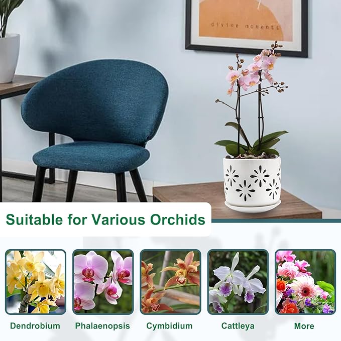 Orchid Pots with Holes, 5+6 Inch Orchid Pots with Drainage Holes and Tray, Effective Drainage and Ventilation to Assist New Plants or Repotting, Indoor/Outdoor Flower Pots -White