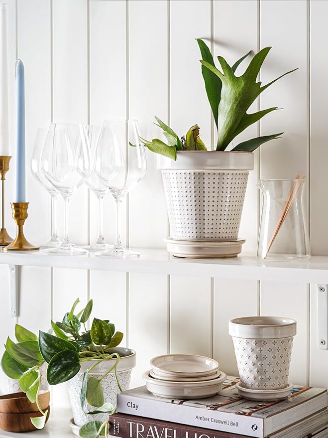 LE TAUCI Ceramic Plant Pots, Cute Succulent Pots with Saucer, 6 Inch Flower Pots with Drainage, for Plant Lover or Mothers Day,Housewarming, Decorative Lovely Planter for Cactus, Set of 4