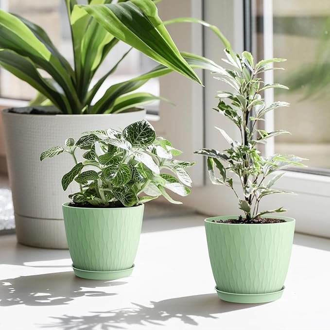 6 inch Plant Pots, 5 Pack Flower Pots with Drainage Holes and Saucers for Indoor Plants, Plastic Planters with Water Ripple for Small Garden House Plants, Nursery Pots for Succulent, Green