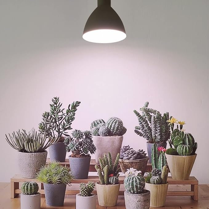 Smart LED Grow Light Bulbs with Remote Controller, Sun Simulation Mode, Built-in Auto Timer, A21/A70 E26/E27 9W Dimmable Full Spectrum Intelligent Plant Grow Bulbs for Indoor Plants, 6 Pack