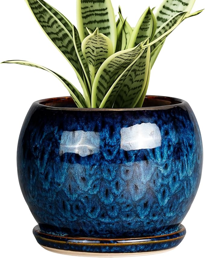 SQOWL 6 Inch Plant Pot - Ceramic Planter Pot with Drainage Hole and Saucer, Succulent Pot Round Flower Pot for Indoor Plants Outdoor, Blue