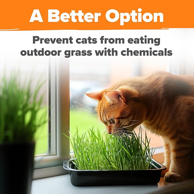 HOME GROWN Organic Cat Grass Seeds Pack 8oz β 7200 π‘π’π‘-ππ π’ π¨π¦π-π¦π’π¨π₯πππ Heirloom Oat & Barley Grass Seeds for Indoor Cats β High Germination Hairball Relief, Pet Grass Ready in 7Days