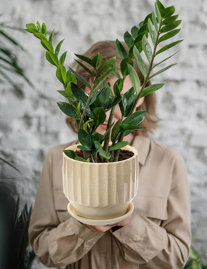 AISBUGUR Plant Pots 6 inch Set of 2 Ceramic Pots for Indoor Plants with Drainage Hole and Saucer Unique Crackle Glaze Design Garden Flower Pots Come with Drainage Nets, Creamy White