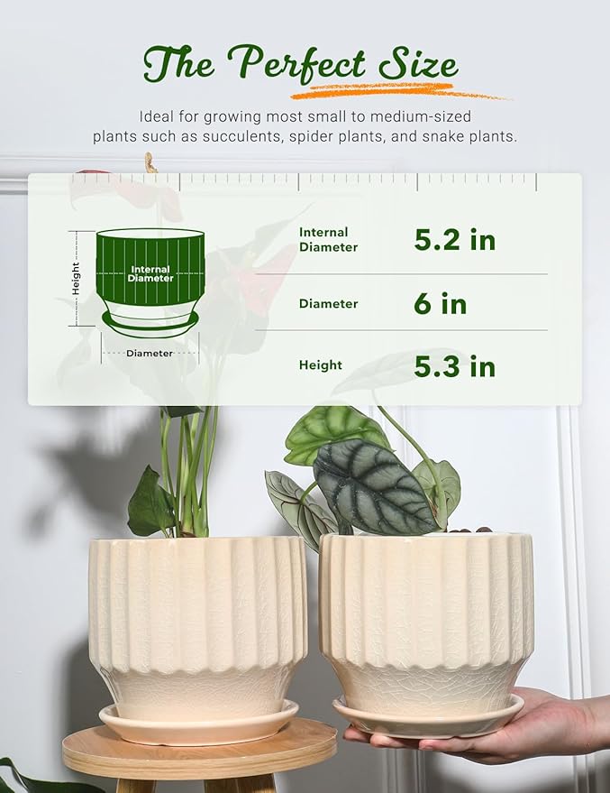 AISBUGUR Plant Pots 6 inch Set of 2 Ceramic Pots for Indoor Plants with Drainage Hole and Saucer Unique Crackle Glaze Design Garden Flower Pots Come with Drainage Nets, Creamy White