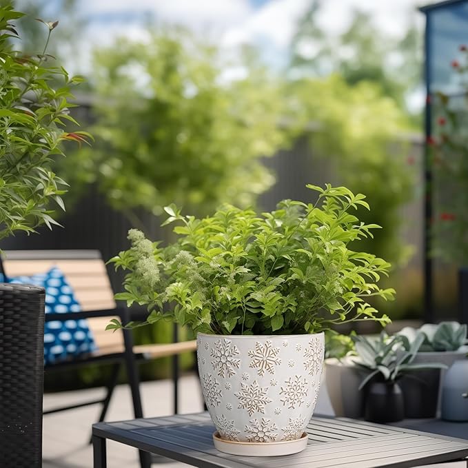 6 Inch Plant Pot with Drainage Hole and Saucer Ceramic Planter for Indoor Plant Flower Pot for Orchid Succulents Plants White