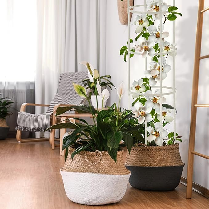 Garden Obelisk Trellis for Climbing Plants Outdoor 6 Ft Rose Bush Round Trellis for Pots Rustproof Metal Plant Flower Trellises for Clematis Vine Jasmine Support Outdoor Indoor