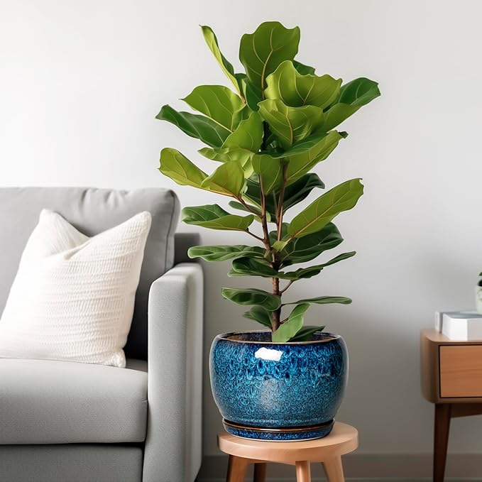 SQOWL 10 Inch Plant Pot - Ceramic Planter Pot with Drainage Hole and Saucer, Decorative Plant Pot for Indoor Outdoor Plants, Round Large Planter Flower Pot, Blue