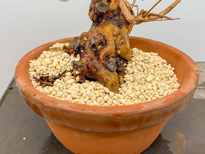 Premium Kanuma Soil Amendment by Gardenera - Unlock The Power of Acidic Soil Conditioning - 5 Quart