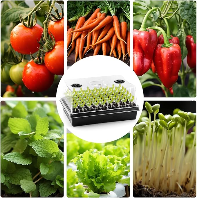 Seed Starter Tray with Tall 5'' Dome-Deep Cell Large Plant Germination Trays, Heavy Duty Seed Starting Kit, 3 Packs(162 Cells) Plant Seedlings Tray with Lid for Balcony Greenhouse (54 Cells per Tray)