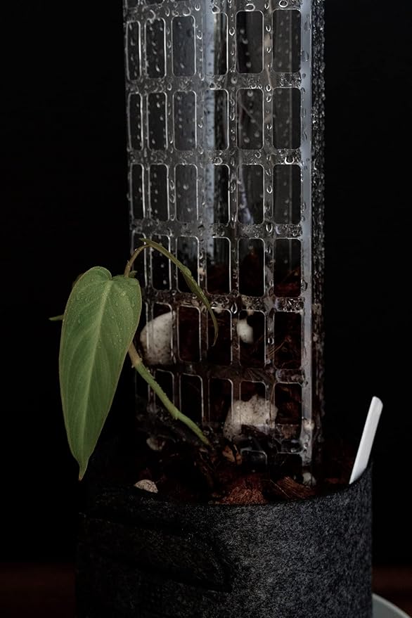 Plastic Moss Poles for Climbing Plants V2 Large 5 Pcs Stackable Moss Pole Monstera Plant Support-Plant Climbing Pole, DIY Moss Pole for Plants Indoor, Plant Sticks Support by THICCLY