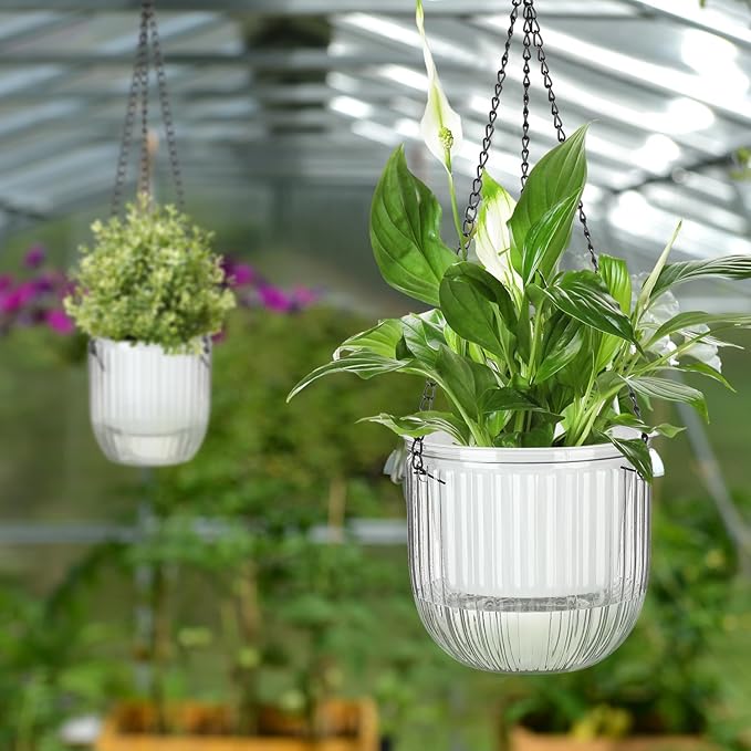 Maxcheck 4 Pcs Self Watering Hanging Planters Indoor 6.5'' 4.5'' Hanging Flower Pots Baskets Outdoor Self Watering Hanging Plant with 3hooks Drainage Holes for Home(Transparent)