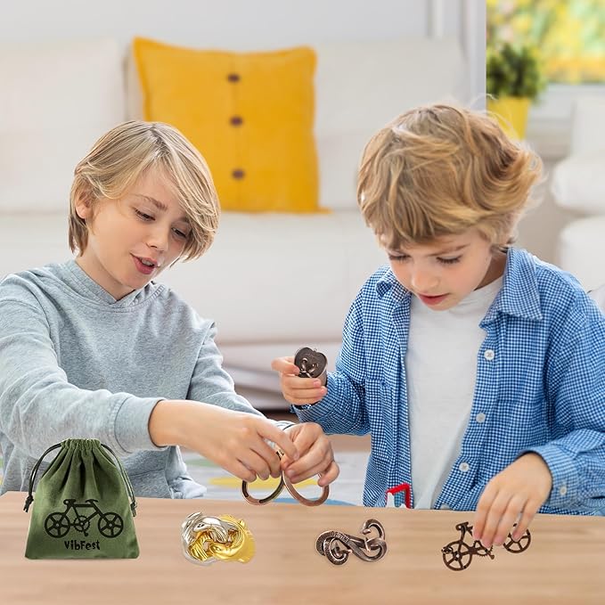 13 Pcs Metal Brain Teaser Puzzles 3D Puzzle for Adults Logic Puzzle Games Set Gift for Adults and Teenagers