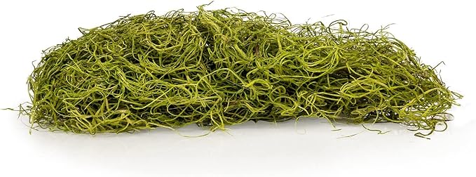 Premium Spanish Moss in Spring Green| Natural Preserved - 10 Quart - Great Ground Cover - Filler for Potted Plants - by GARDENERA (2 Bags of 5 Quart)