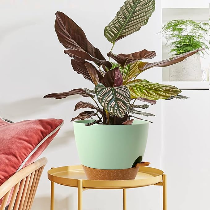 WOUSIWER 10 inch Self Watering Planters, 2 Pack Large Plastic Plant Pots with Deep Reservior and High Drainage Holes for Indoor Outdoor Plants and Flowers, Green with Terracotta