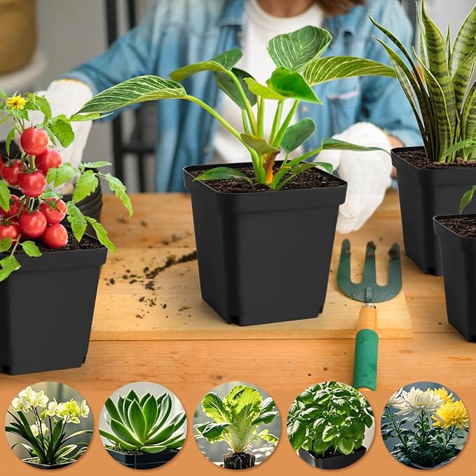 Square Nursery Pots 5.5 Inch, 30 Pcs Plastic Plant Pot with Drainage Holes, Reusable Seedling Starter Pots Garden Flower Pots Planters for Indoor Plants, Transplanting, Succulents, Cuttings