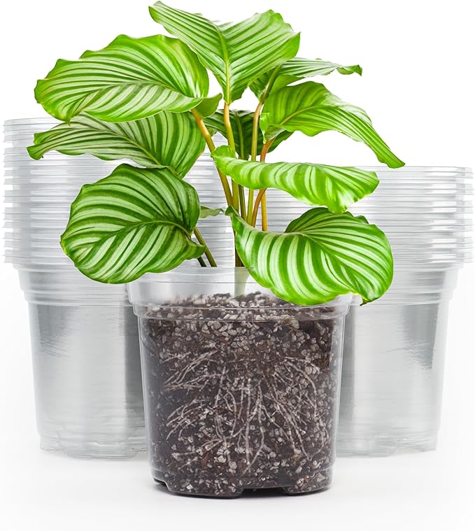 MIXC 30 Packs 5" Reinforced Clear Nursery Pots with Drainage Holes, Transparent Plastic Plant Pot Seedling Pots, Seed Starter Pots for Planting, Flower Pot