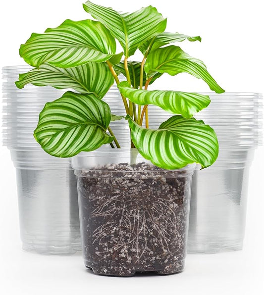 MIXC 30 Packs 5" Reinforced Clear Nursery Pots with Drainage Holes, Transparent Plastic Plant Pot Seedling Pots, Seed Starter Pots for Planting, Flower Pot