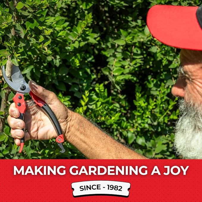 TABOR TOOLS S821A Bypass Pruning Shears, Makes Clean Cuts, Great for S-M Size Hands. Professional Sharp Secateurs, Hand Pruner, Garden Shears, Clippers for The Garden.