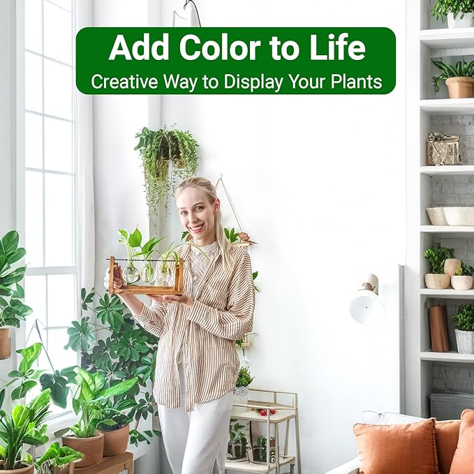 Ivolador Plant Propagation Station,Bulb Plant Terrarium with Wooden Stand,Unique Gardening Gifts for Women Plant Lovers,Hydroponic Indoor Planter Home Office Garden Wedding Decor-3 Bulb Glass Vases