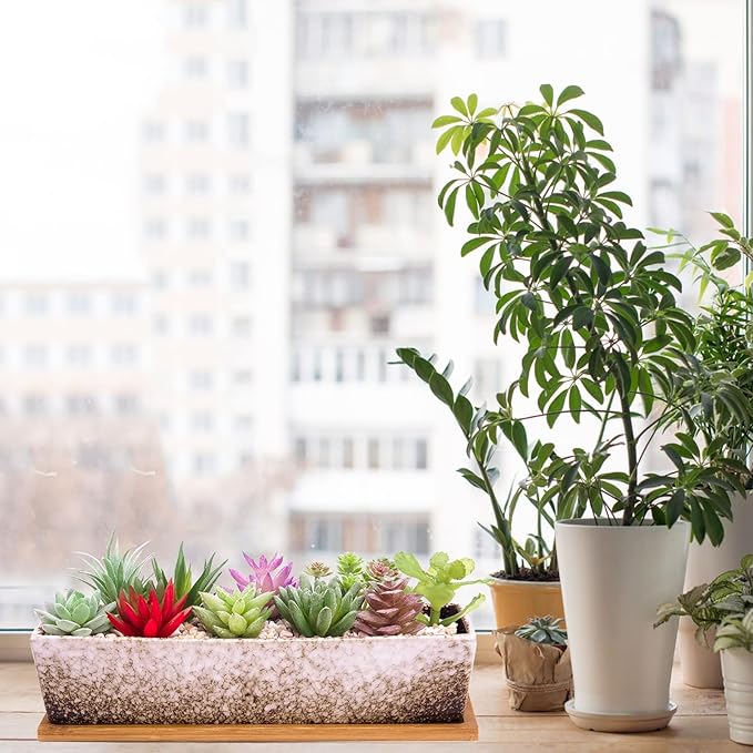 Succulent Pots - 12.1 Inch Large Succulent Planters Pots with Drainage Tray, Long Rectangle Ceramic Pots for Indoor Cactus/Succulent Plants Shallow Bonsai Window Box for Home Garden Decor (White)