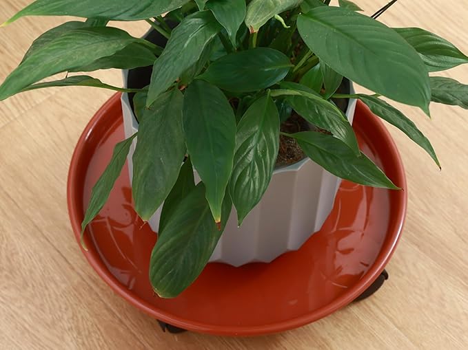 8 Packs Plant Caddy with Wheels 11.8" Plastic Rolling Plant Stands Heavy-Duty Plant Dolly with Casters Indoor and Outdoor Plant Roller Base Large Heavy Plant Pot Saucers with Wheels, Rust Red