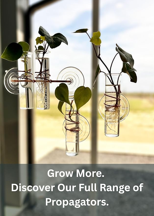 The Little Window Propagator | Window Propagation Station with Removable Glass Tubes, Indoor Plant Clippings, Cut Flowers, Herbs, Succulents | Home Decor | Plant Lover Gift (3)