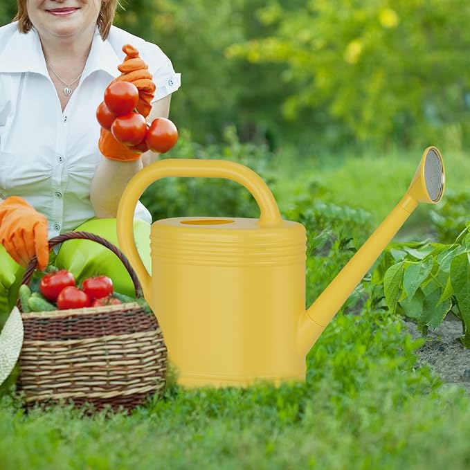 2 Gallon Watering Can for Indoor Plants, Garden Watering Cans for Outdoor Plant House Flower, Modern Plant Watering Can Large Long Spout with Sprinkler Head