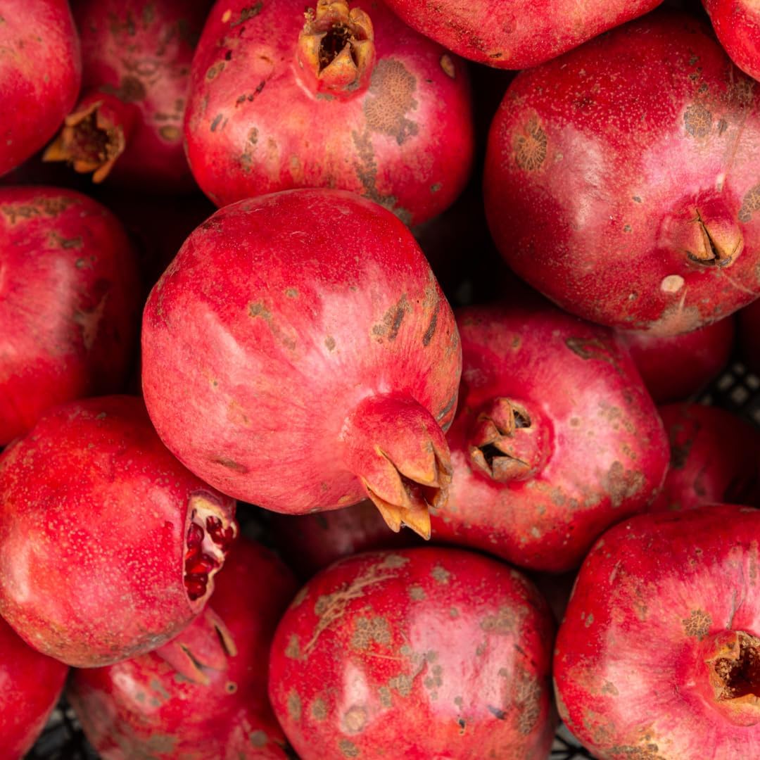 Pack 2 Potted Wonderful Pomegranate Tree Live Plant - Hardy Red Pomegranate Bush - for Gardens and Pots- Full Roots and Easy to Plant, Size 10 to 15 Inch Tall